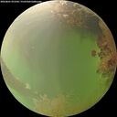 ./images/calvert/underwater/20260801/underwater20260801_072501M.jpg