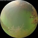 ./images/calvert/underwater/20260801/underwater20260801_073001M.jpg