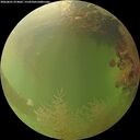 ./images/calvert/underwater/20260801/underwater20260801_074001M.jpg