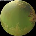 ./images/calvert/underwater/20260801/underwater20260801_074502M.jpg