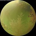 ./images/calvert/underwater/20260801/underwater20260801_080501M.jpg