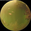 ./images/calvert/underwater/20260801/underwater20260801_081501M.jpg