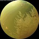 ./images/calvert/underwater/20260801/underwater20260801_105501M.jpg