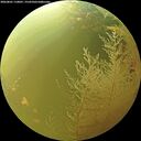 ./images/calvert/underwater/20260801/underwater20260801_110001M.jpg