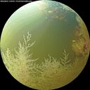 ./images/calvert/underwater/20260801/underwater20260801_110501M.jpg