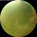 ./images/calvert/underwater/20260801/underwater20260801_112501M.jpg