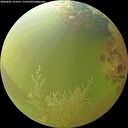 ./images/calvert/underwater/20260801/underwater20260801_113501M.jpg