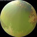 ./images/calvert/underwater/20260801/underwater20260801_114001M.jpg