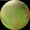 ./images/calvert/underwater/20260801/underwater20260801_115502M.jpg