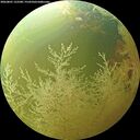 ./images/calvert/underwater/20260801/underwater20260801_122501M.jpg