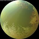 ./images/calvert/underwater/20260801/underwater20260801_123002M.jpg