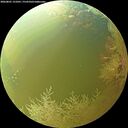 ./images/calvert/underwater/20260801/underwater20260801_131001M.jpg