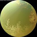 ./images/calvert/underwater/20260801/underwater20260801_132501M.jpg