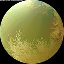 ./images/calvert/underwater/20260801/underwater20260801_133001M.jpg