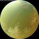 ./images/calvert/underwater/20260801/underwater20260801_142001M.jpg