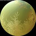 ./images/calvert/underwater/20260801/underwater20260801_143002M.jpg