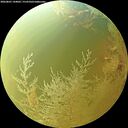 ./images/calvert/underwater/20260801/underwater20260801_144001M.jpg