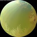 ./images/calvert/underwater/20260801/underwater20260801_151001M.jpg