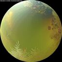 ./images/calvert/underwater/20260801/underwater20260801_153001M.jpg