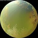 ./images/calvert/underwater/20260801/underwater20260801_153501M.jpg