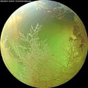 ./images/calvert/underwater/20260801/underwater20260801_160501M.jpg