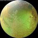 ./images/calvert/underwater/20260801/underwater20260801_161001M.jpg