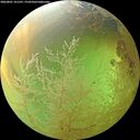 ./images/calvert/underwater/20260801/underwater20260801_161501M.jpg