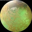 ./images/calvert/underwater/20260801/underwater20260801_162501M.jpg