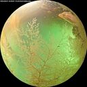 ./images/calvert/underwater/20260801/underwater20260801_163001M.jpg