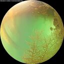 ./images/calvert/underwater/20260801/underwater20260801_164001M.jpg