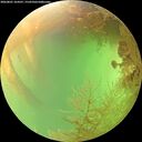 ./images/calvert/underwater/20260801/underwater20260801_164501M.jpg