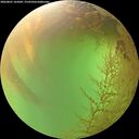 ./images/calvert/underwater/20260801/underwater20260801_165001M.jpg