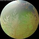 ./images/calvert/underwater/20260801/underwater20260801_170002M.jpg