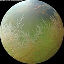 ./images/calvert/underwater/20260801/underwater20260801_171501M.jpg