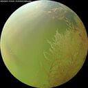 ./images/calvert/underwater/20260801/underwater20260801_172501M.jpg
