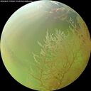 ./images/calvert/underwater/20260801/underwater20260801_173002M.jpg