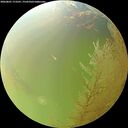 ./images/calvert/underwater/20260801/underwater20260801_173501M.jpg