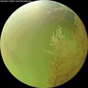 ./images/calvert/underwater/20260801/underwater20260801_174001M.jpg