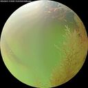 ./images/calvert/underwater/20260801/underwater20260801_175001M.jpg