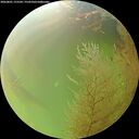./images/calvert/underwater/20260801/underwater20260801_175501M.jpg