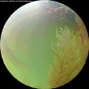 ./images/calvert/underwater/20260801/underwater20260801_180002M.jpg