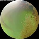 ./images/calvert/underwater/20260801/underwater20260801_181001M.jpg