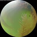 ./images/calvert/underwater/20260801/underwater20260801_181501M.jpg