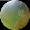 ./images/calvert/underwater/20260801/underwater20260801_184001M.jpg