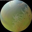 ./images/calvert/underwater/20260801/underwater20260801_185501M.jpg