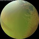 ./images/calvert/underwater/20260801/underwater20260801_191001M.jpg