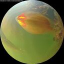 ./images/calvert/underwater/20260801/underwater20260801_192002M.jpg
