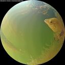 ./images/calvert/underwater/20260801/underwater20260801_192501M.jpg