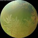 ./images/calvert/underwater/20260801/underwater20260801_193001M.jpg