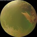 ./images/calvert/underwater/20260801/underwater20260801_201001M.jpg